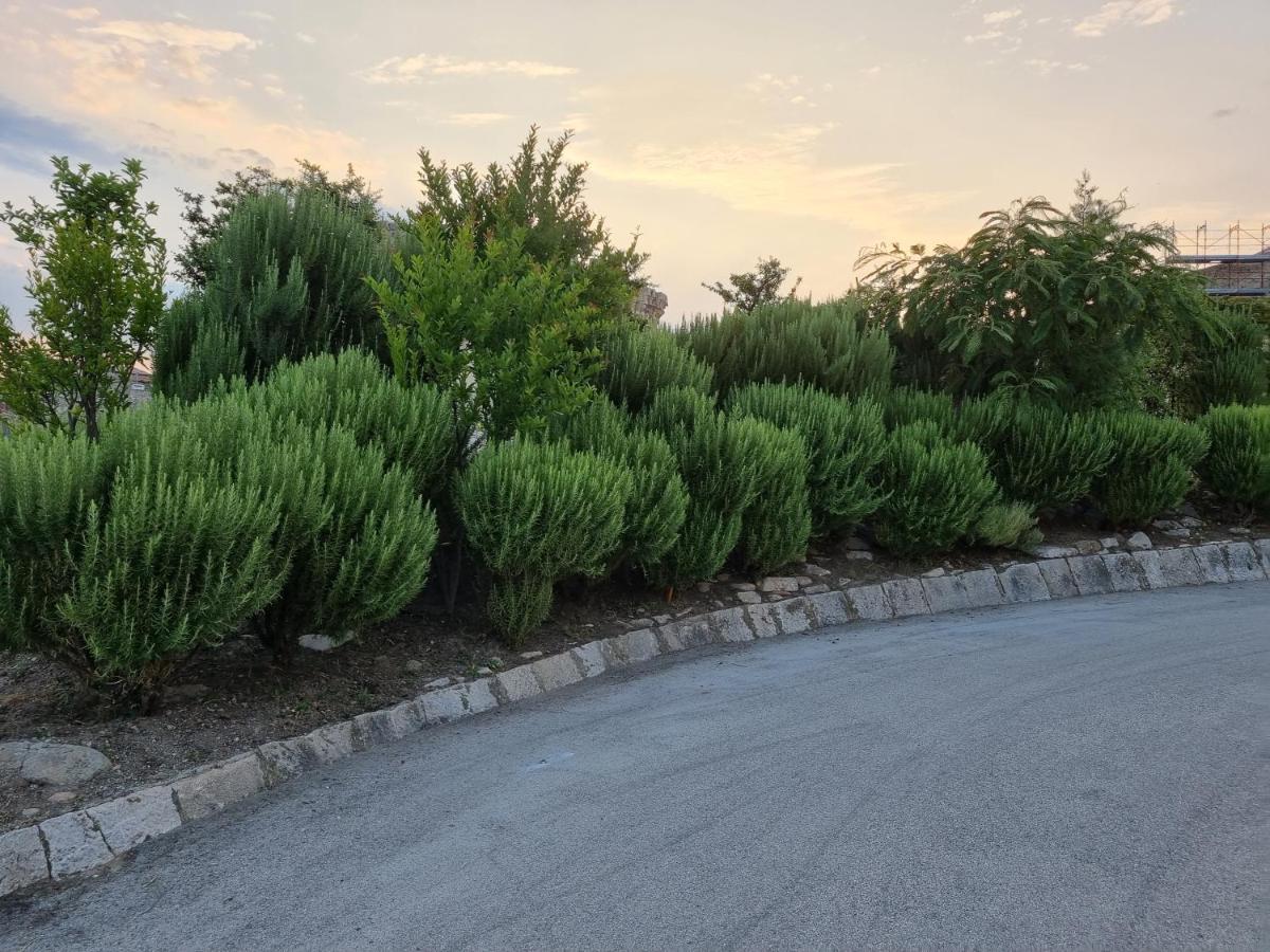 Suite D'Avalos Venosa Εξωτερικό φωτογραφία